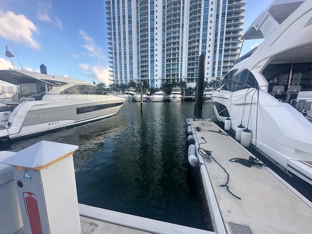 dock area with a water view