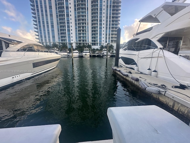 dock area with a water view