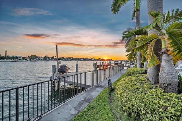 dock area with a water view