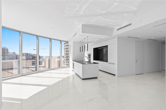 unfurnished living room featuring expansive windows, plenty of natural light, and sink