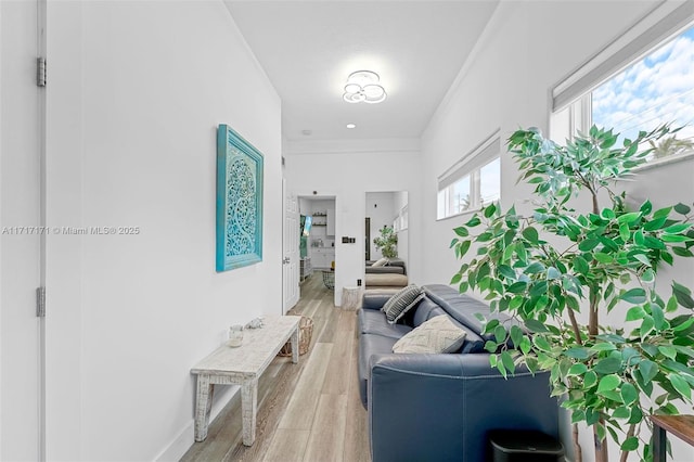 hallway featuring crown molding and wood-type flooring