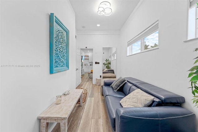 living room featuring wood-type flooring