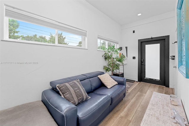 living room featuring light wood-type flooring