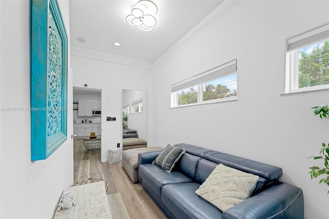 living room featuring ornamental molding and light wood-type flooring