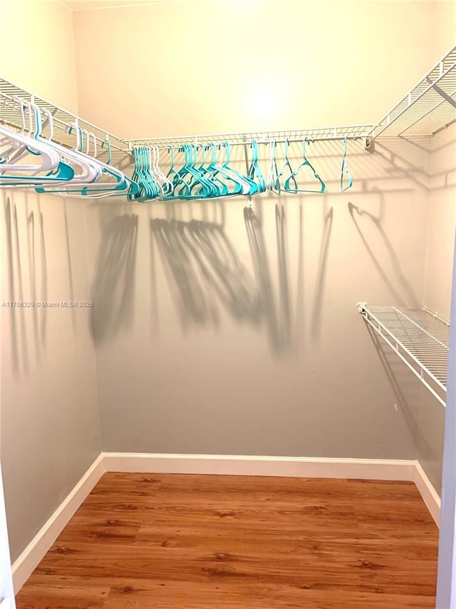 spacious closet with wood finished floors