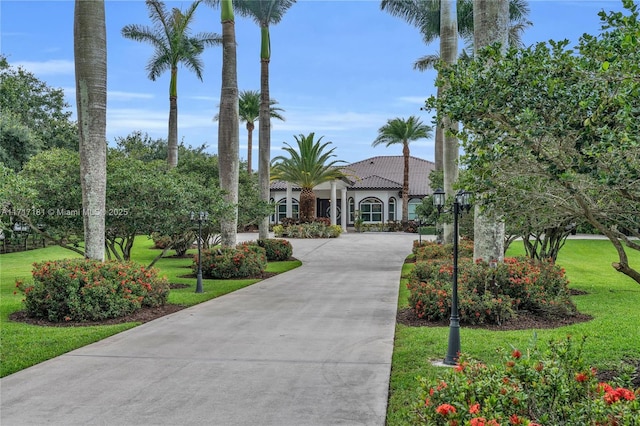 view of community featuring a yard and curved driveway