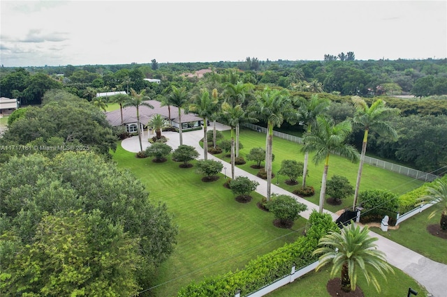 bird's eye view