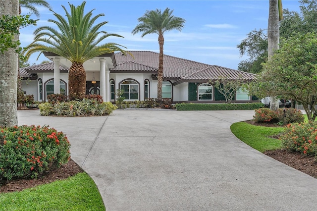 mediterranean / spanish-style home featuring a tile roof, curved driveway, and stucco siding