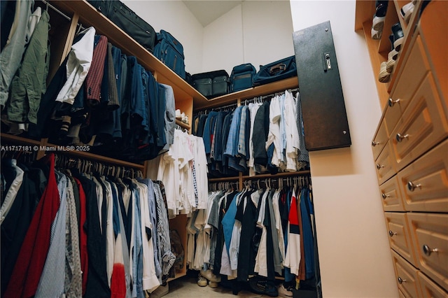 view of walk in closet