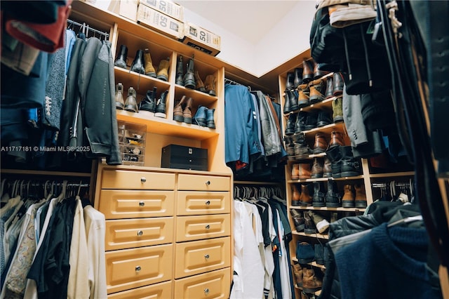 view of walk in closet