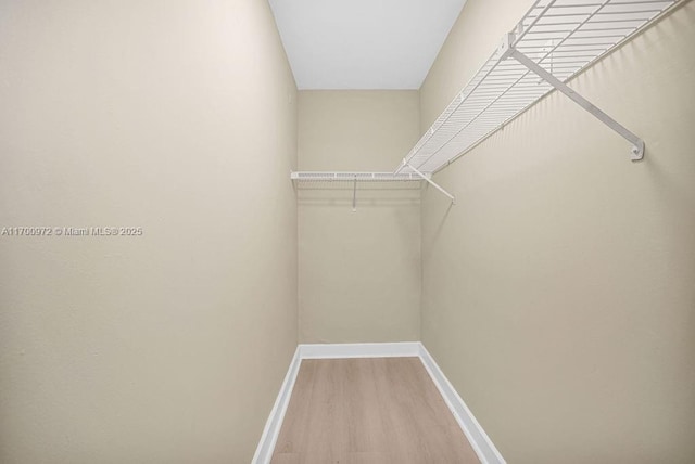 walk in closet featuring wood-type flooring