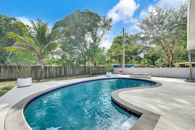 view of pool featuring a patio