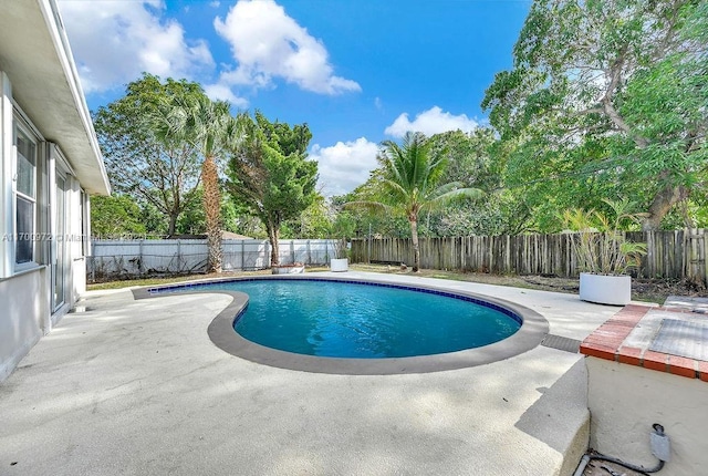 view of swimming pool with a patio area