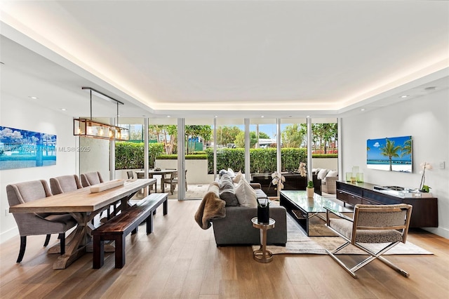 living room featuring a raised ceiling and light hardwood / wood-style flooring