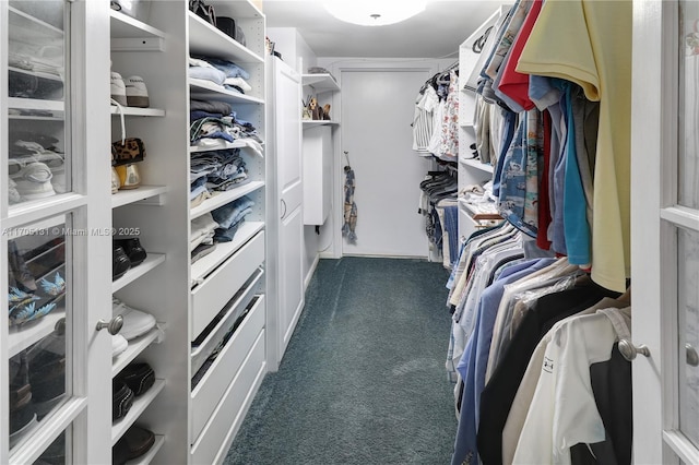 spacious closet featuring dark colored carpet