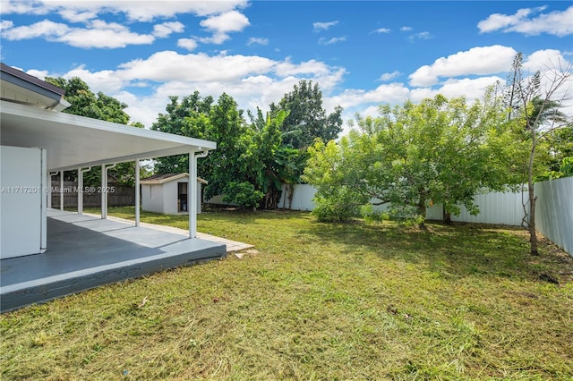 view of yard featuring a patio and a storage unit