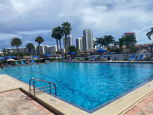 view of swimming pool