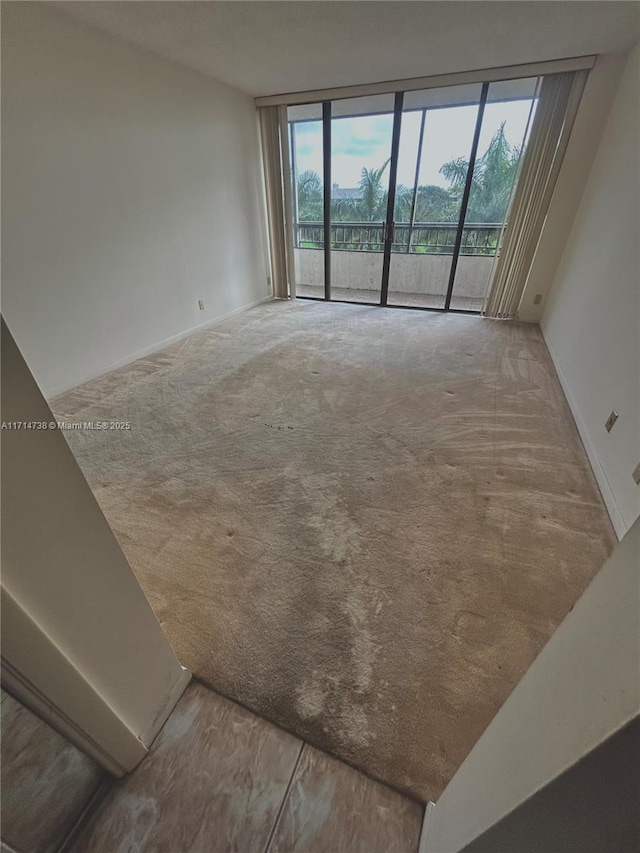 carpeted empty room with expansive windows