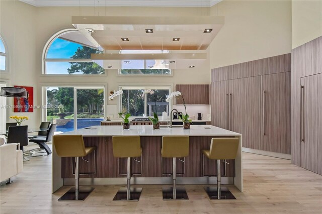 dining space featuring a high ceiling and light hardwood / wood-style flooring