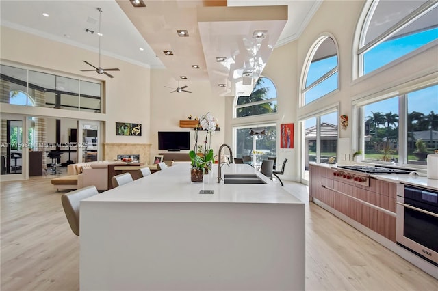 kitchen with sink, an island with sink, light hardwood / wood-style floors, and a high ceiling