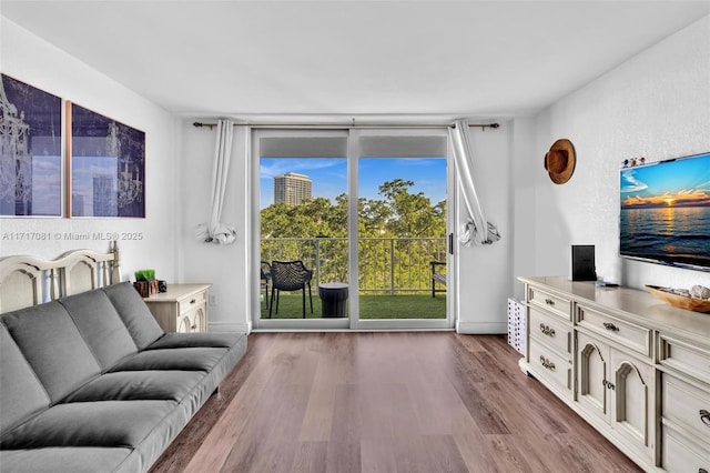 living room featuring floor to ceiling windows and light wood-type flooring