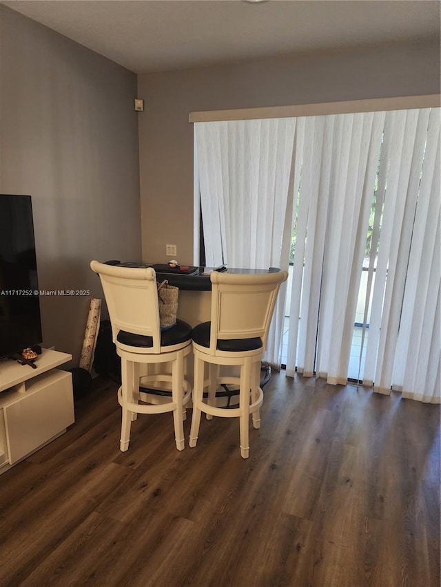 dining room featuring dark wood-type flooring