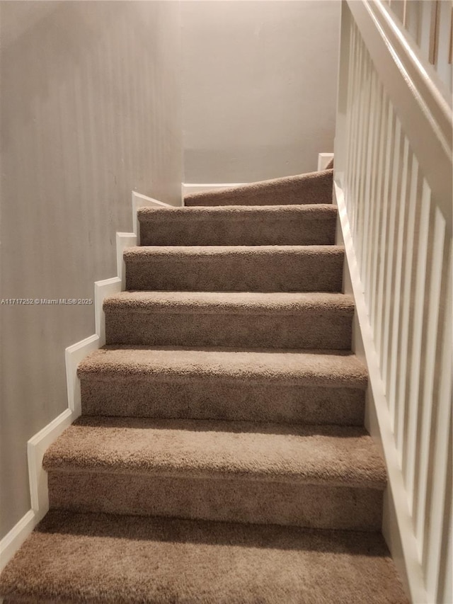 stairway featuring carpet flooring