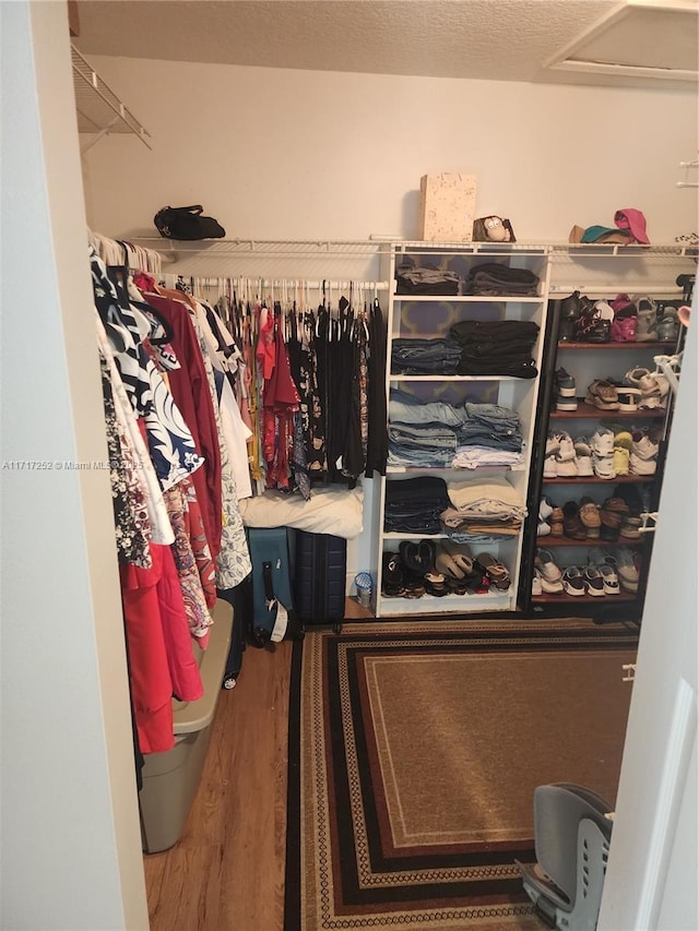 spacious closet with wood-type flooring