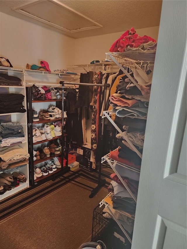 view of spacious closet