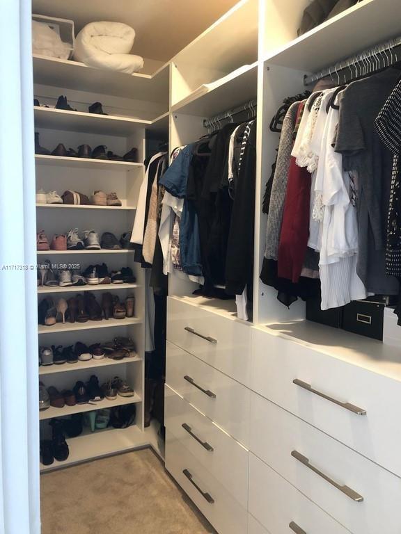 view of spacious closet