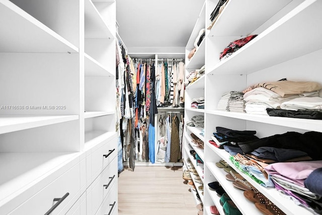 walk in closet with light wood-type flooring