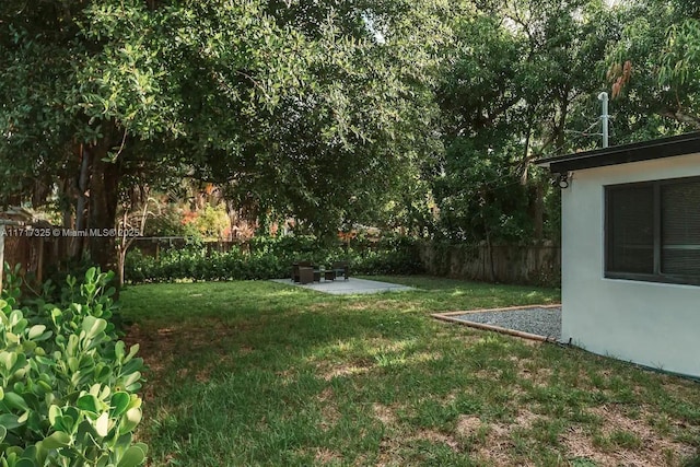 view of yard featuring a patio area