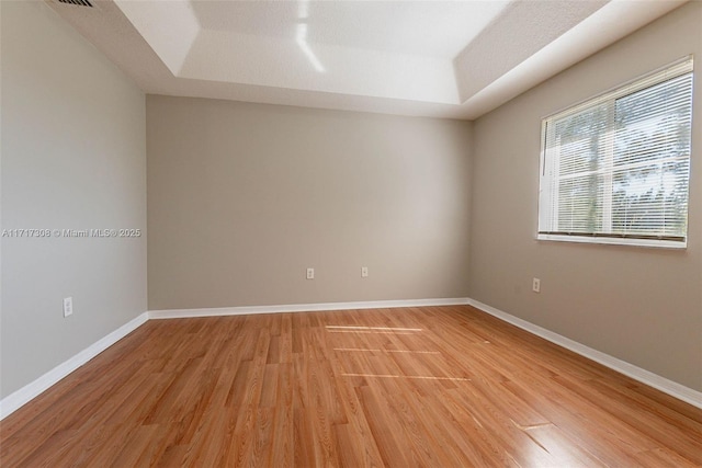 spare room featuring a raised ceiling and light hardwood / wood-style flooring