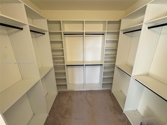 spacious closet with carpet