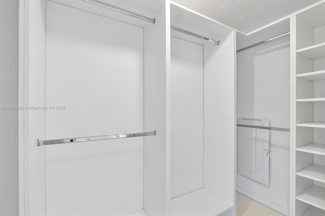 view of spacious closet