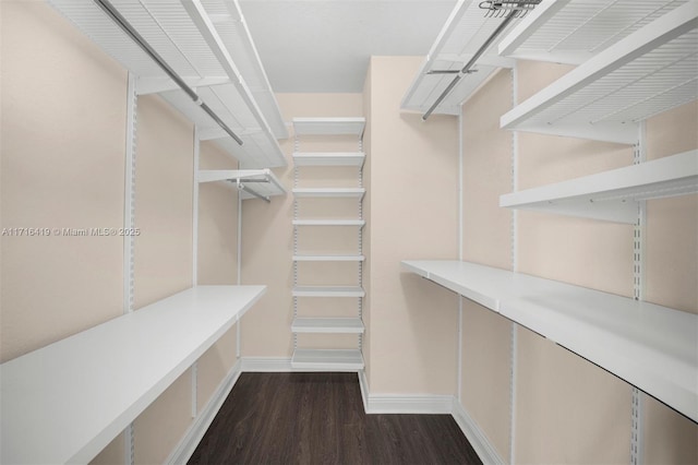 spacious closet with dark hardwood / wood-style flooring