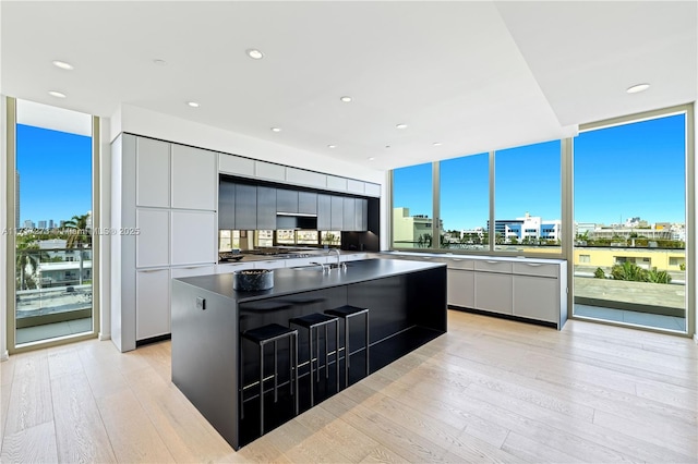 kitchen featuring tasteful backsplash, sink, light hardwood / wood-style flooring, white cabinetry, and a large island