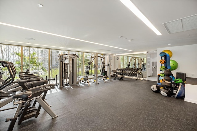 gym featuring floor to ceiling windows