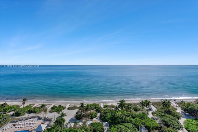 property view of water featuring a view of the beach