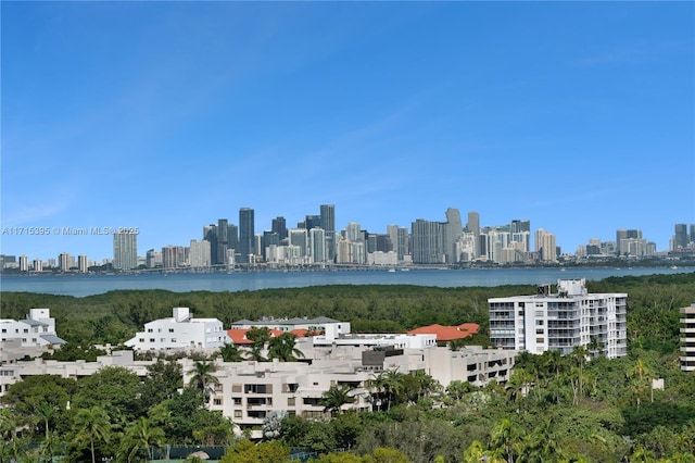 property's view of city with a water view