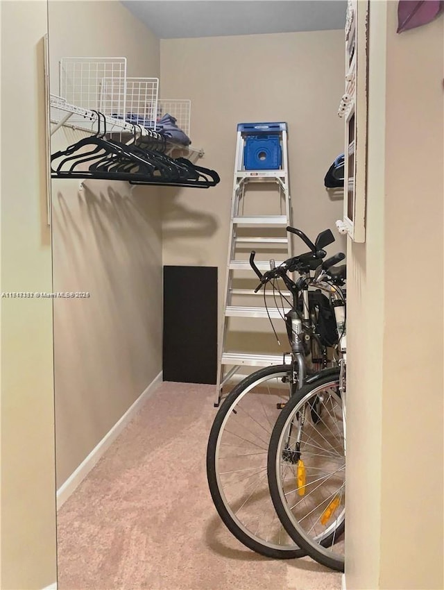 spacious closet with carpet