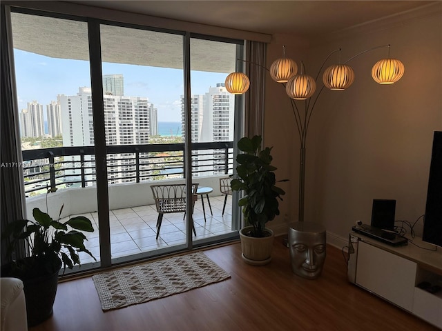 doorway featuring baseboards, wood finished floors, and a city view