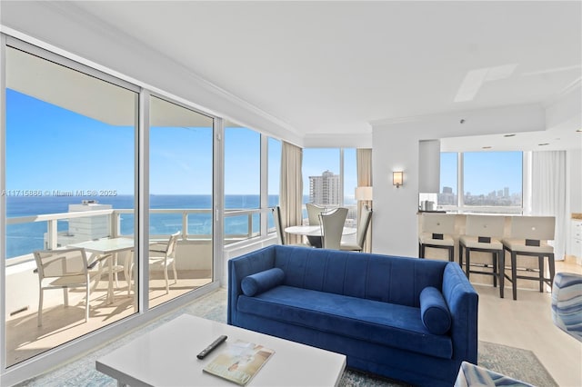 living room featuring crown molding, light hardwood / wood-style flooring, and a water view