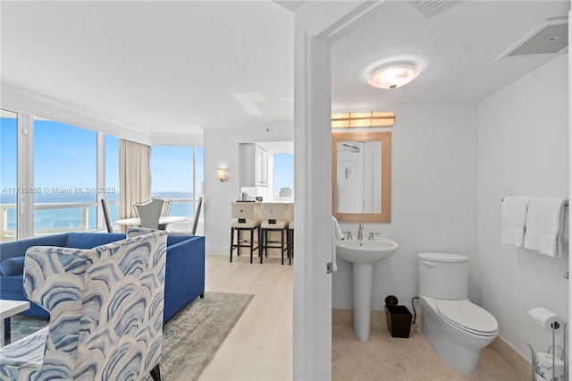 bathroom with sink, a water view, wood-type flooring, and toilet