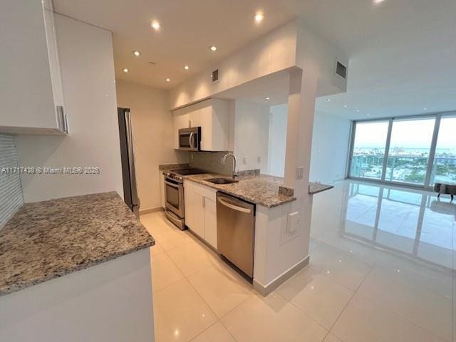 kitchen with a wall of windows, stainless steel appliances, and white cabinets