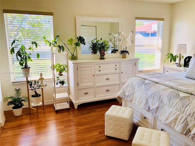 bedroom featuring dark hardwood / wood-style flooring