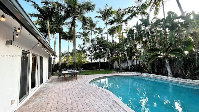 view of swimming pool with a patio