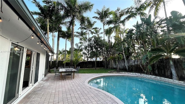 view of swimming pool with a patio