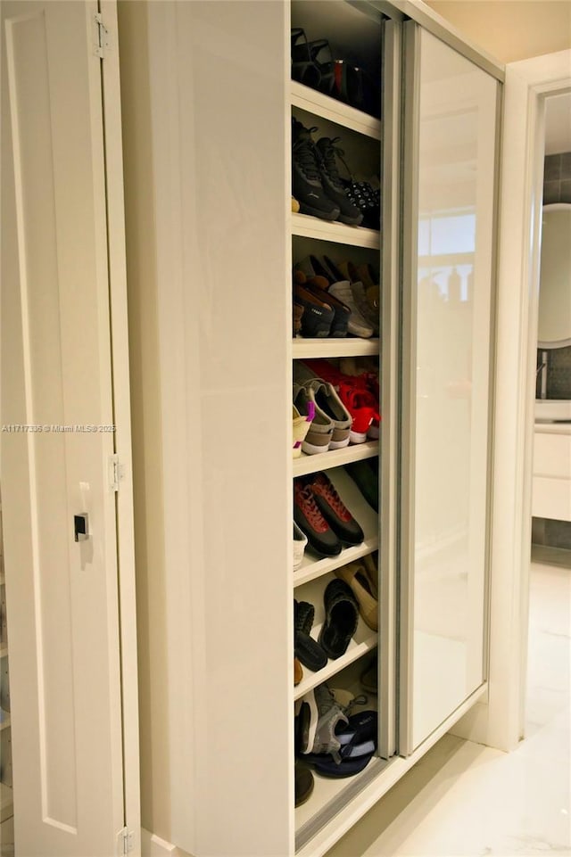 view of closet