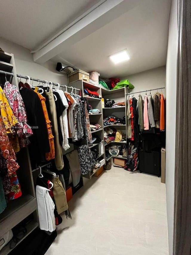 view of spacious closet